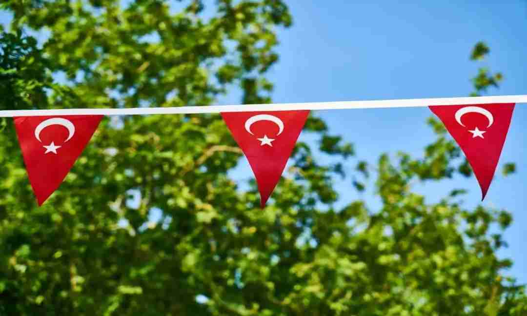 How to Get Turkish Citizenship Through Making A Luxury Property Investment