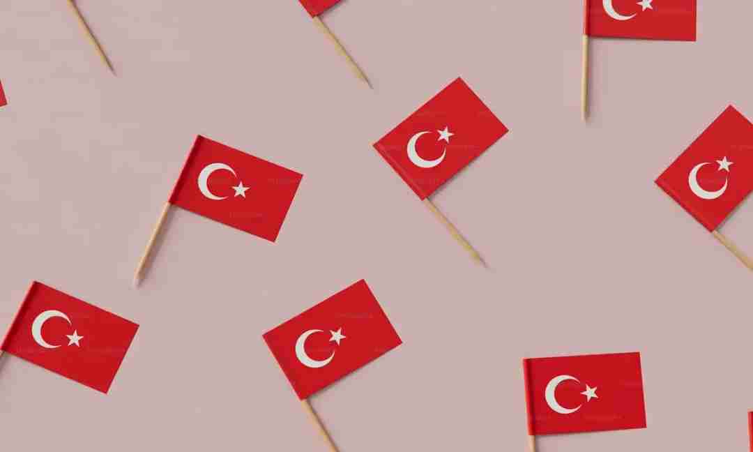 What Are the Perks of Getting Citizenship in Turkey?