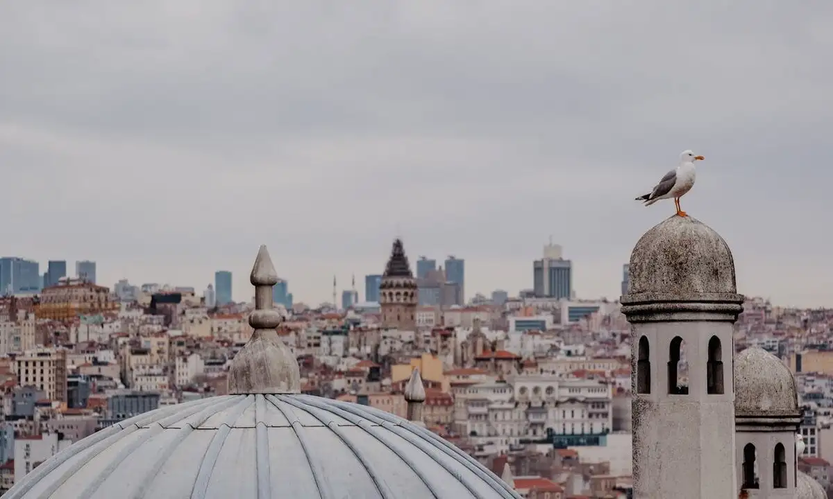 Istanbul Properties for Sale: A Comprehensive Guide