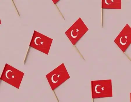 What Are the Perks of Getting Citizenship in Turkey?